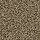 Aladdin Carpet: Authentic Notion Longhorn